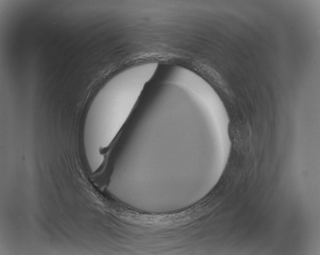 X0000081580023200702121459