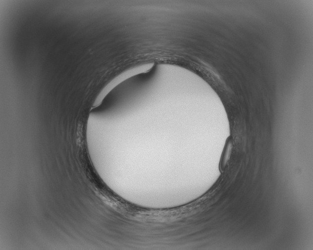 X0000081580025200702121459