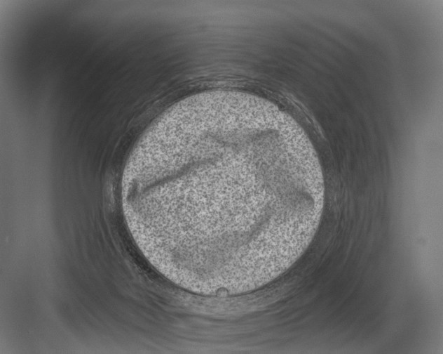 X0000081580026200702121459