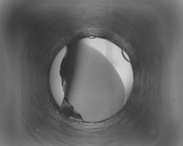 X0000081580027200702121459