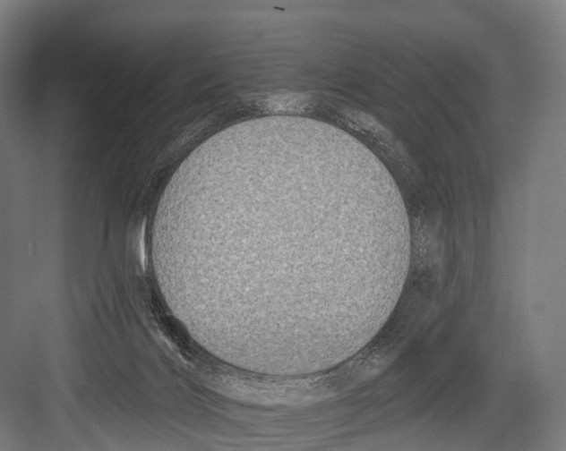 X0000081580028200702121459