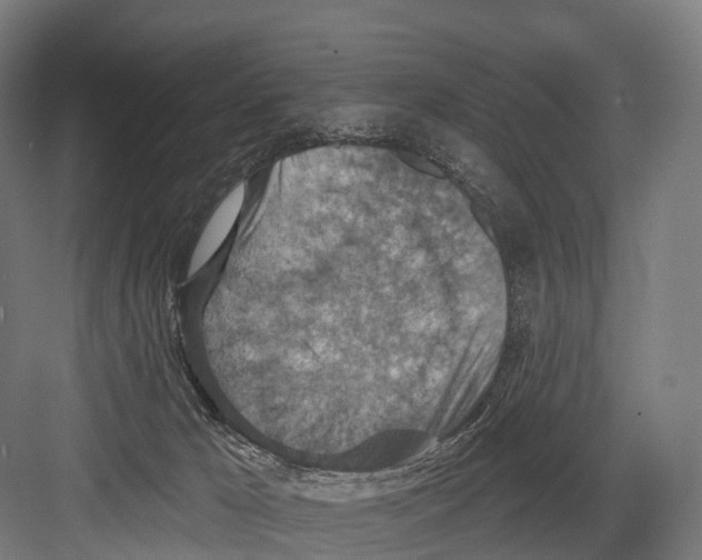 X0000081580029200702121459