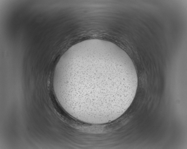 X0000081580032200702121459