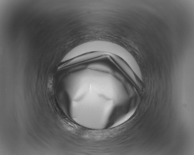 X0000081580033200702121459