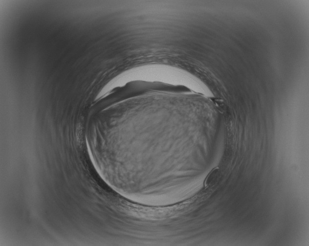 X0000081580035200702121459