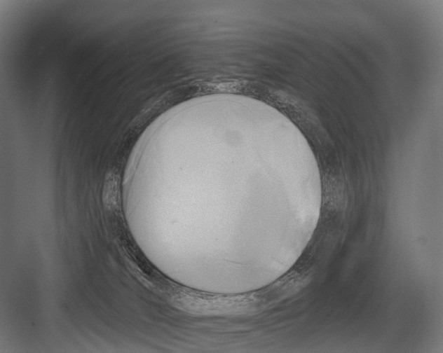 X0000081580036200702121459