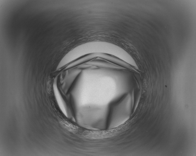 X0000081580037200702121459