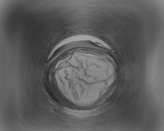 X0000081580039200702121459