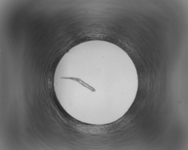 X0000081580040200702121459