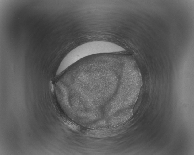 X0000081580041200702121459