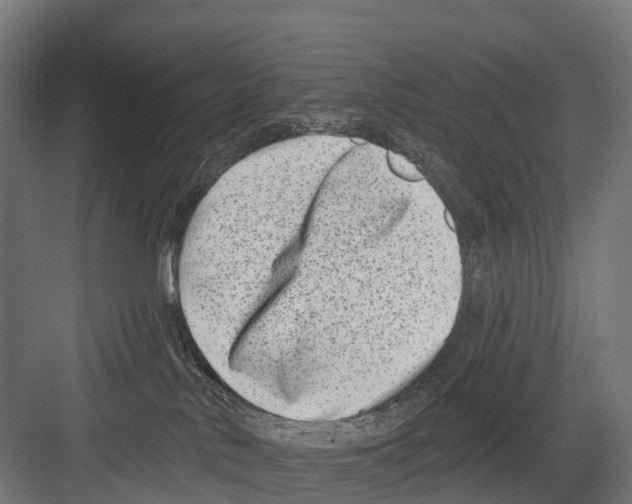 X0000081580042200702121459