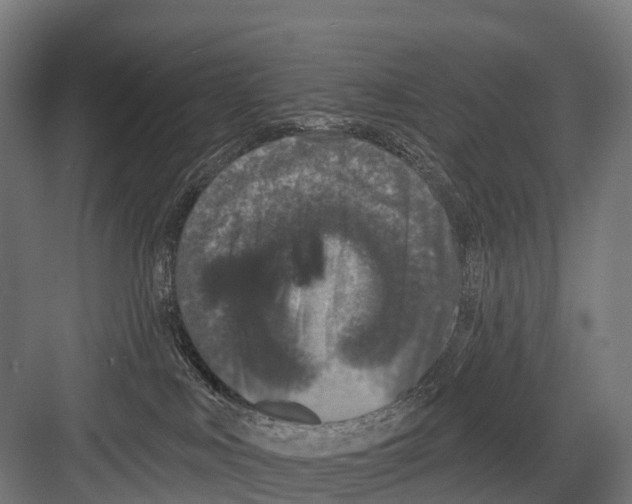 X0000081580043200702121459