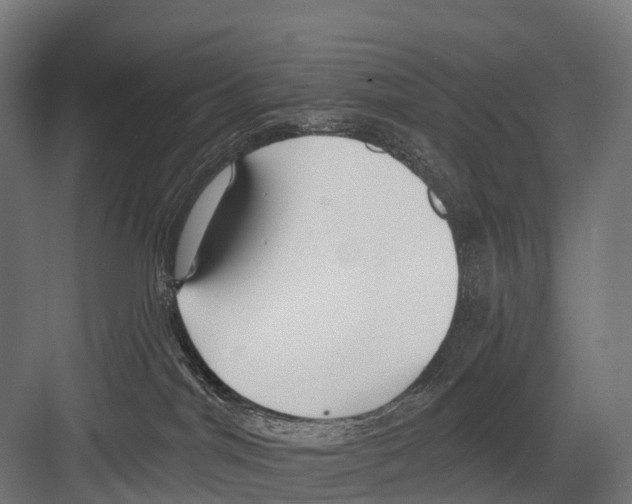 X0000081580044200702121459