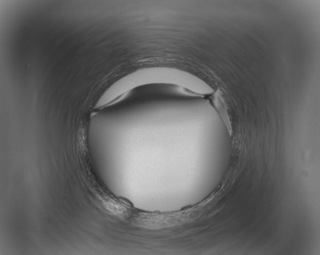 X0000081580045200702121459