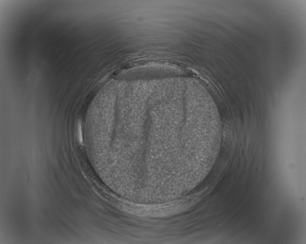 X0000081580046200702121459