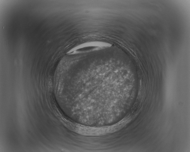 X0000081580048200702121459