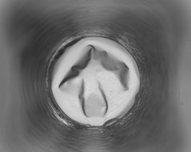 X0000081580050200702121458