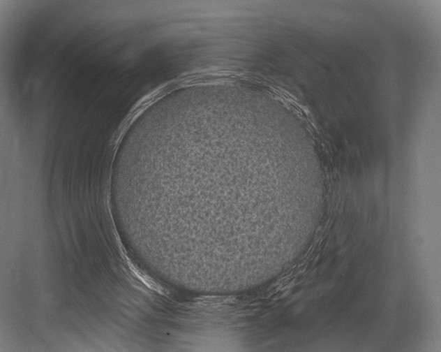 X0000081580051200702121458