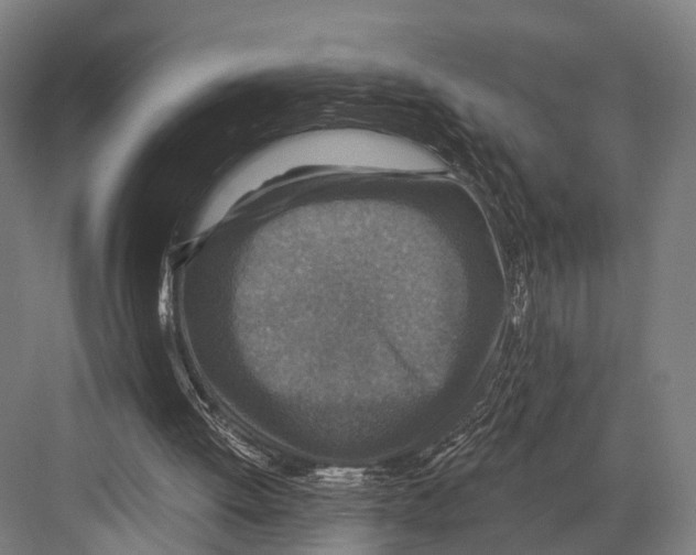 X0000081580052200702121458