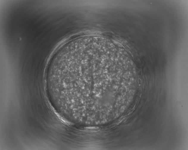 X0000081580053200702121458