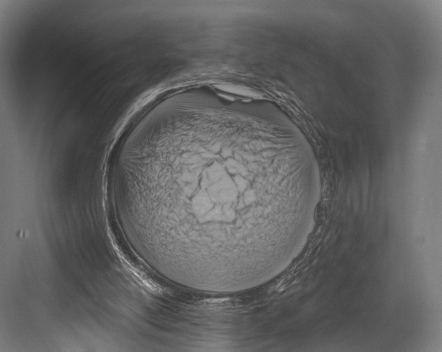 X0000081580054200702121458