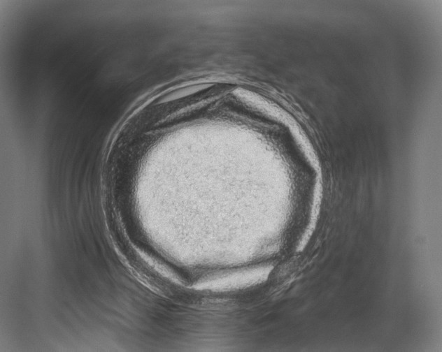 X0000081580055200702121458