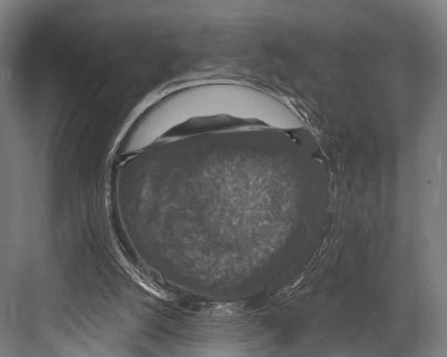 X0000081580056200702121458