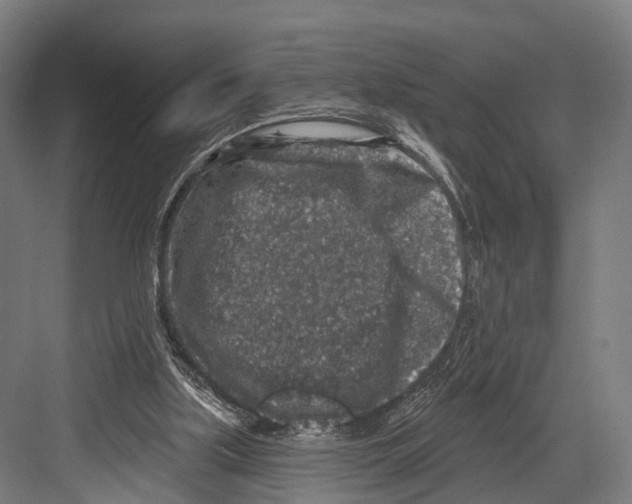 X0000081580059200702121458