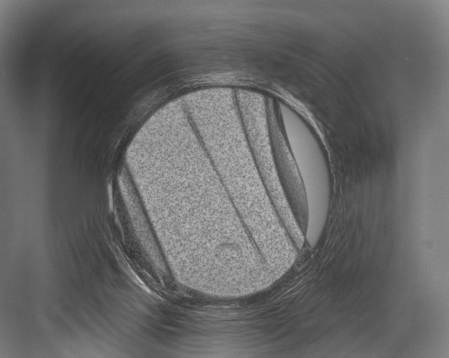 X0000081580061200702121458