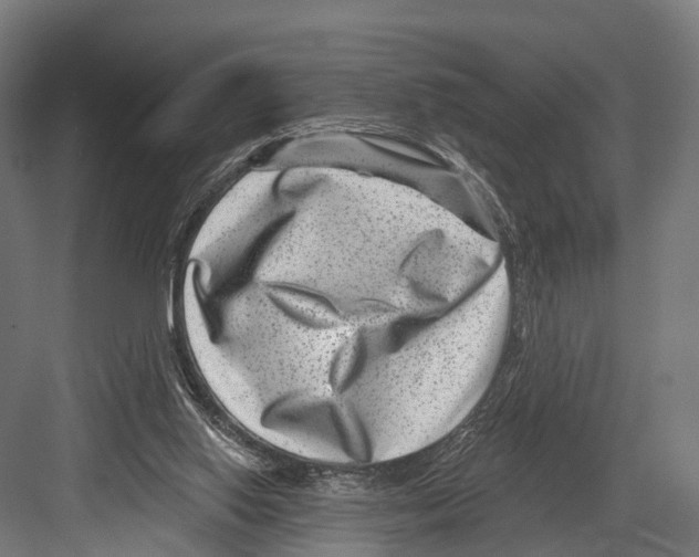 X0000081580062200702121458