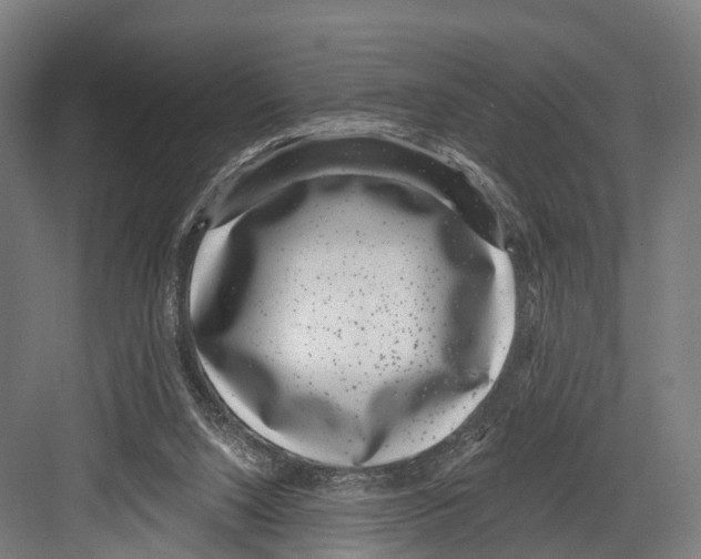 X0000081580064200702121458