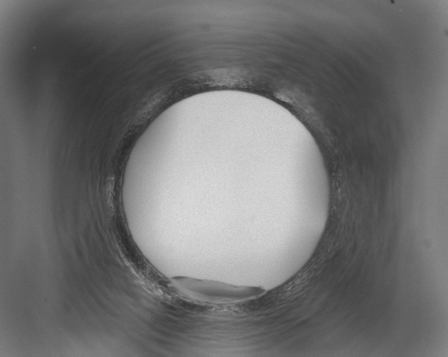 X0000081580066200702121458