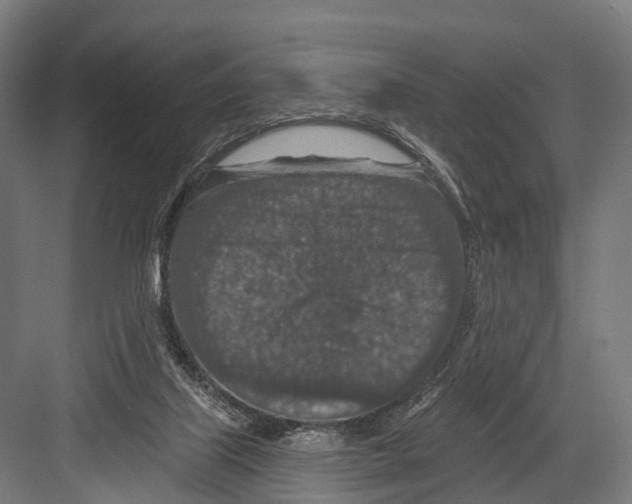 X0000081580067200702121458