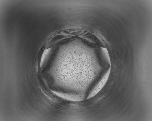 X0000081580068200702121458