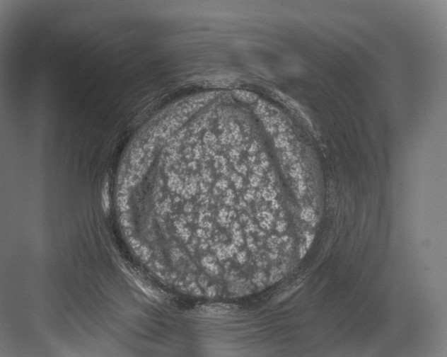 X0000081580069200702121458