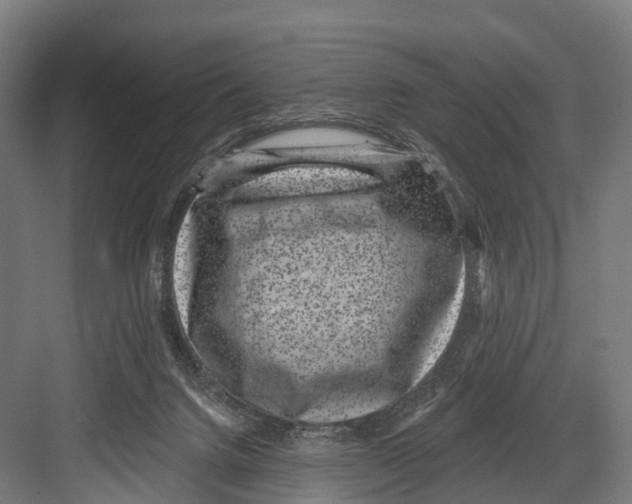 X0000081580072200702121458