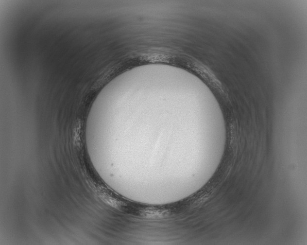 X0000081580073200702121458