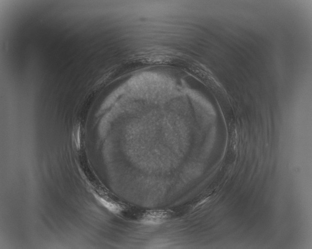 X0000081580076200702121458