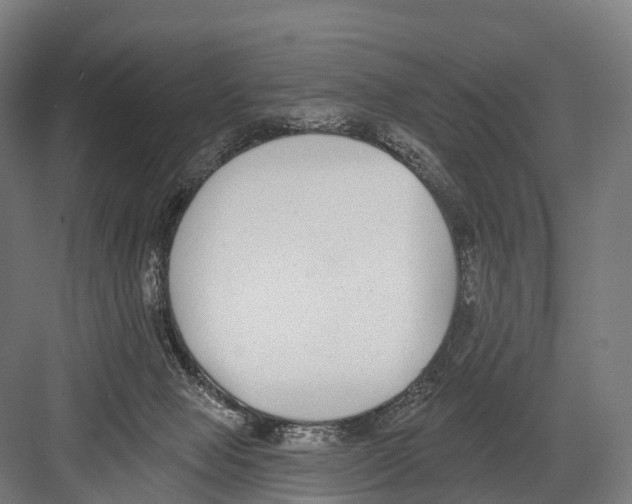 X0000081580077200702121458