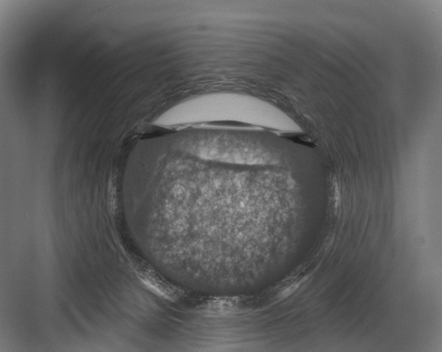 X0000081580080200702121458