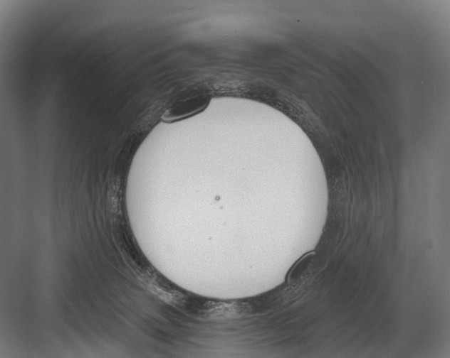 X0000081580083200702121459