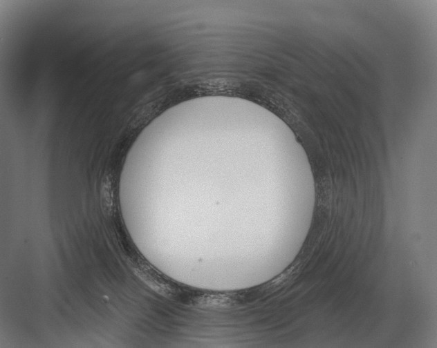 X0000081580086200702121459