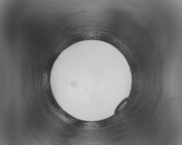 X0000081580087200702121459