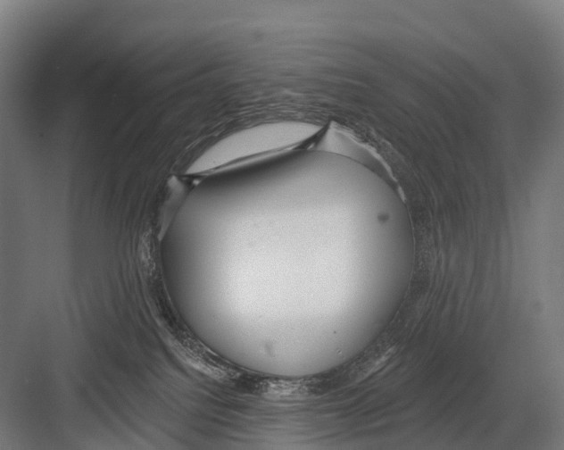 X0000081580088200702121459