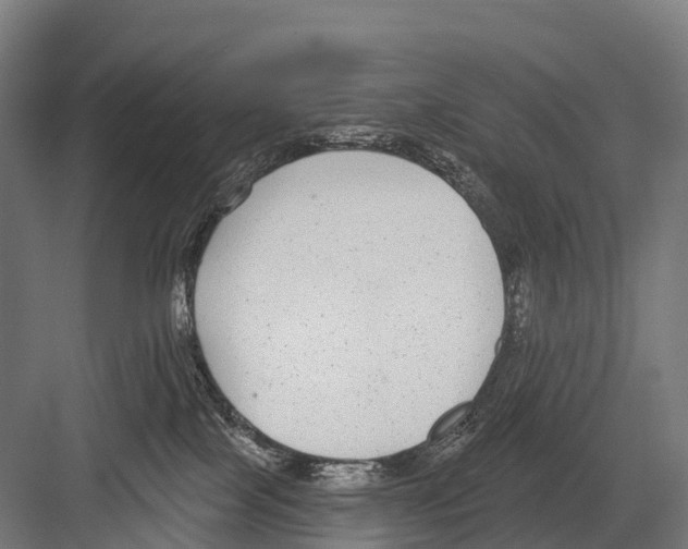 X0000081580089200702121459