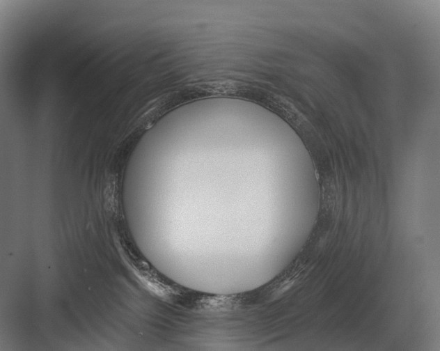 X0000081580092200702121459