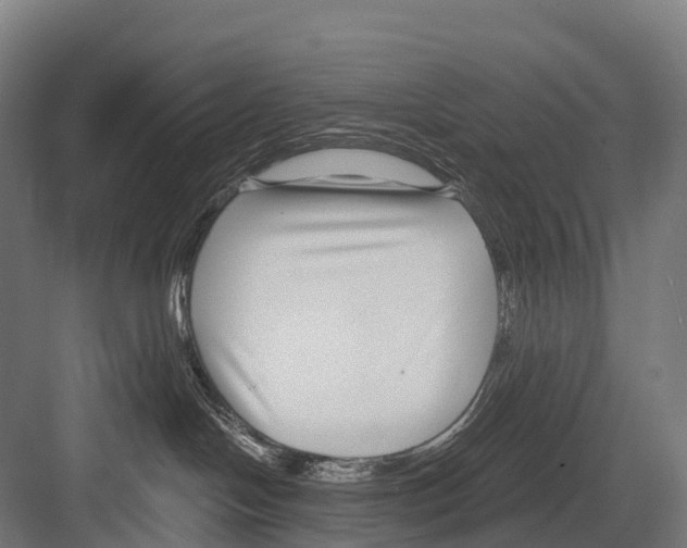 X0000081580094200702121459