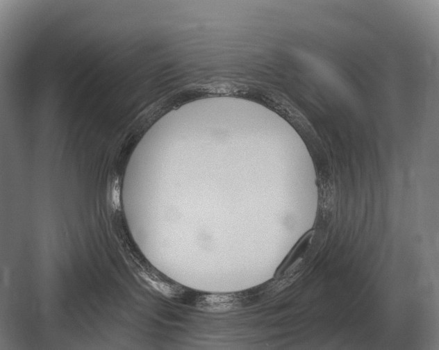 X0000081580095200702121459