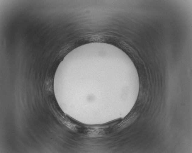 X0000081580096200702121459