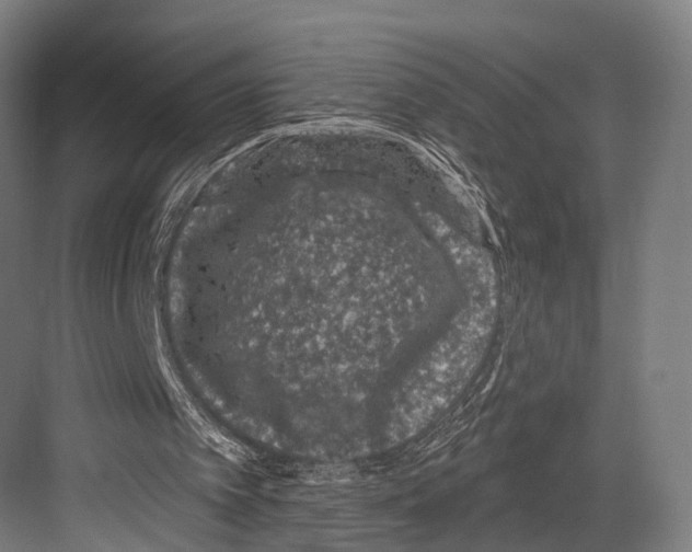 X0000081580097200702121458